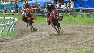 甲冑武者による競馬は迫力満点