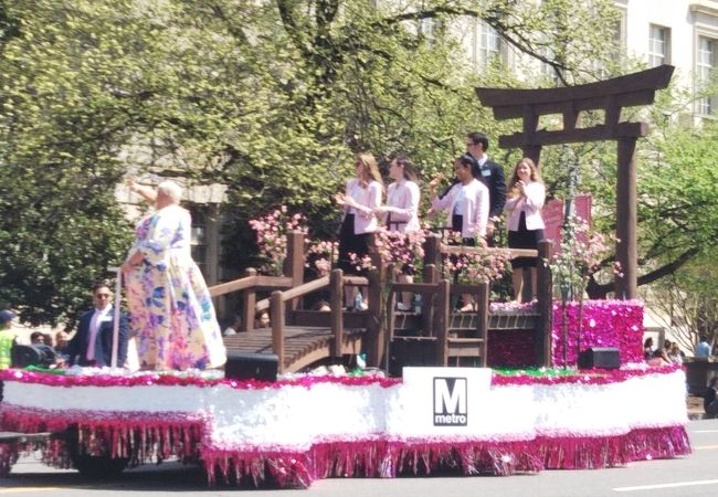 ワシントンDC桜祭り