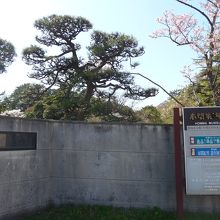 本間美術館の道路に面した入り口付近です