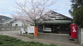 桜がきれいでした