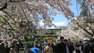 日光に負けず劣らずなのよー