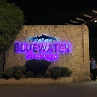 入り口には警備のお兄さんが何人かいます