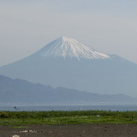 ホテルを出てすぐの砂浜から見た富士山です