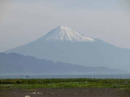 三保園ホテル 写真