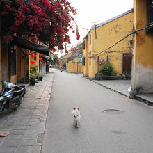 早朝6時過ぎの旧市街はほとんど人がいませんでした。