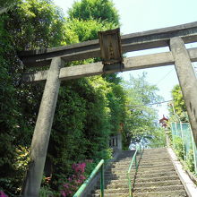 享保年間に建立された石造鳥居