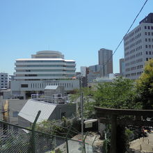 参道上からの風景。正面の建物は東京新宿メディカルセンター