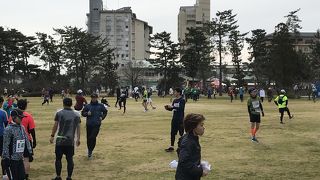 七尾湾の眺めが素晴らしいです。