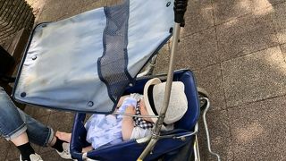 まさかの乳母車！