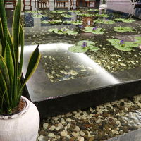 フロント前が涼し気です