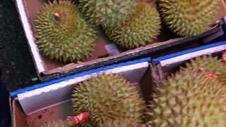 活気ある果物街