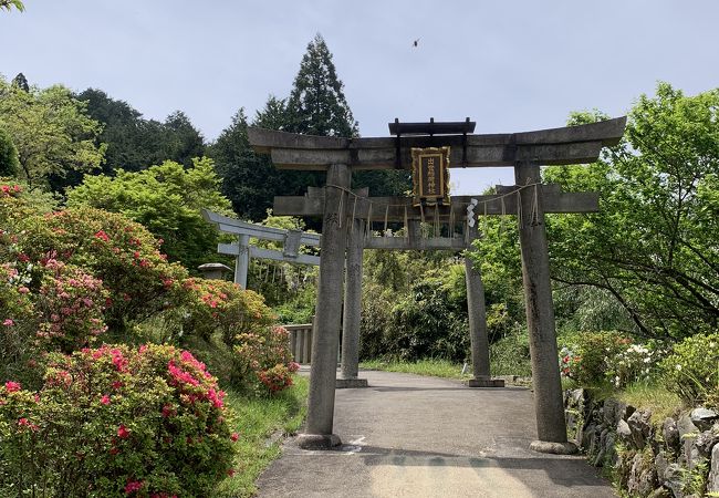 出世稲荷神社 クチコミ アクセス 営業時間 二条 烏丸 河原町 フォートラベル 出世稲荷神社 クチコミ アクセス 営業時間 二条 烏丸 河原町 フォートラベル