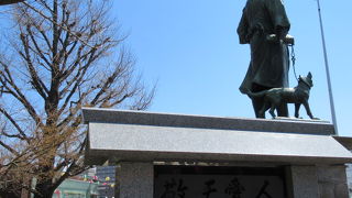 西郷どんさんはパンダを見ていました