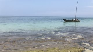 すっごく透明な海