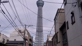 堪能できました