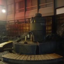 夕方を過ぎて利用時間が終わったあと、やっと落ち着いて撮影