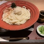 朝から混雑の人気うどん店