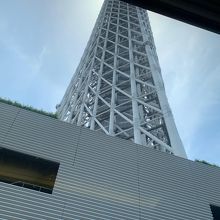 東京スカイツリーが間近に見えます。