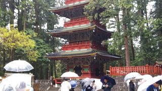 入口の傍らにそびえてました