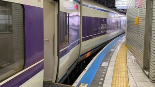 狭い場所に作られた為、ホームがカーブしている珍しい構造です！改札内では、名誉駅長あさがおーがお出迎えです。