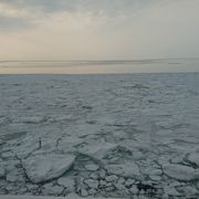 観光船以上に見える流氷が多い