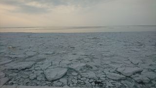 観光船以上に見える流氷が多い