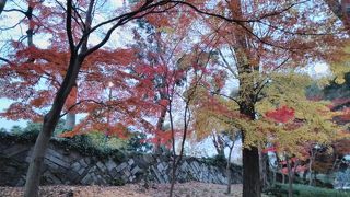 都道府県の代表的な植物が植えられていて、見応えがあります。
