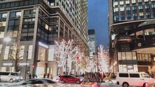 イルミネーションは、冬の東京観光で、絶対見逃せない観光アトラクションです。