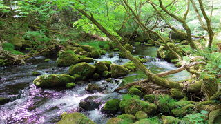 歩きやすい靴で