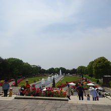 眺望のオアシス