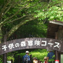 28ポイントのアスレチックコース