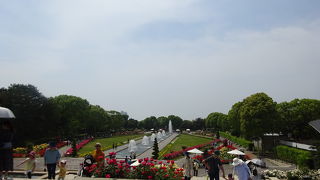 バラの香りが園内に一杯