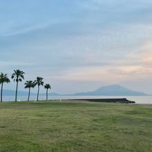 正面に桜島と椰子の木が南国ムード満点