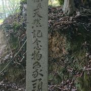 山の形から