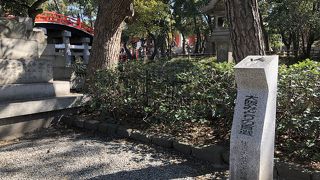 立派な石灯篭がたくさん