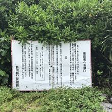 島でのお約束事