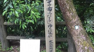 のんびりと散策