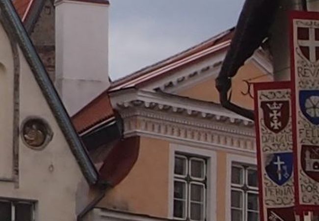 中世騎士団の威厳と栄光を物語る展示物