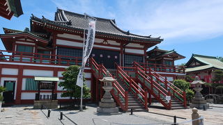 ソテツが多くあります