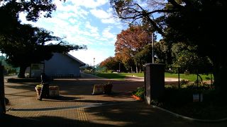 一番好きなのはこの公園からの新宿方面の最高の景色