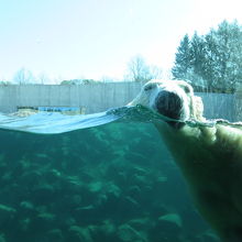 タリン動物園