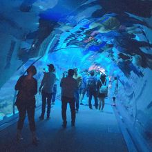 水族館トンネル