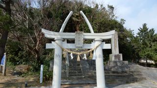 神社の鳥居はナガスクジラのあごの骨を使用