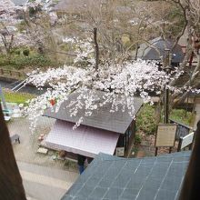 頂上からの景色です