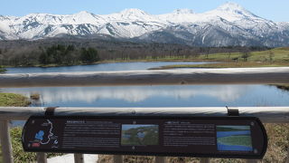 高架木道からの眺め！