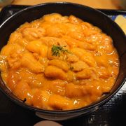 夢にまでみたウニ丼