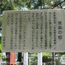 見染の松の解説板