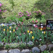 青山公園六本木地区