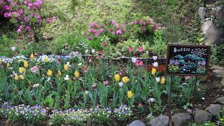 青山公園六本木地区