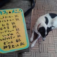 ハチミツレモンおいしかったです。